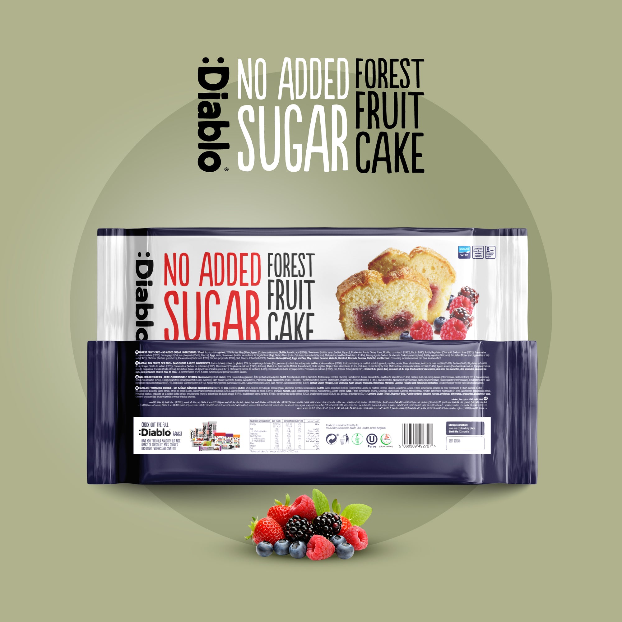 Cake aux fruits des bois (450g) sans sucre