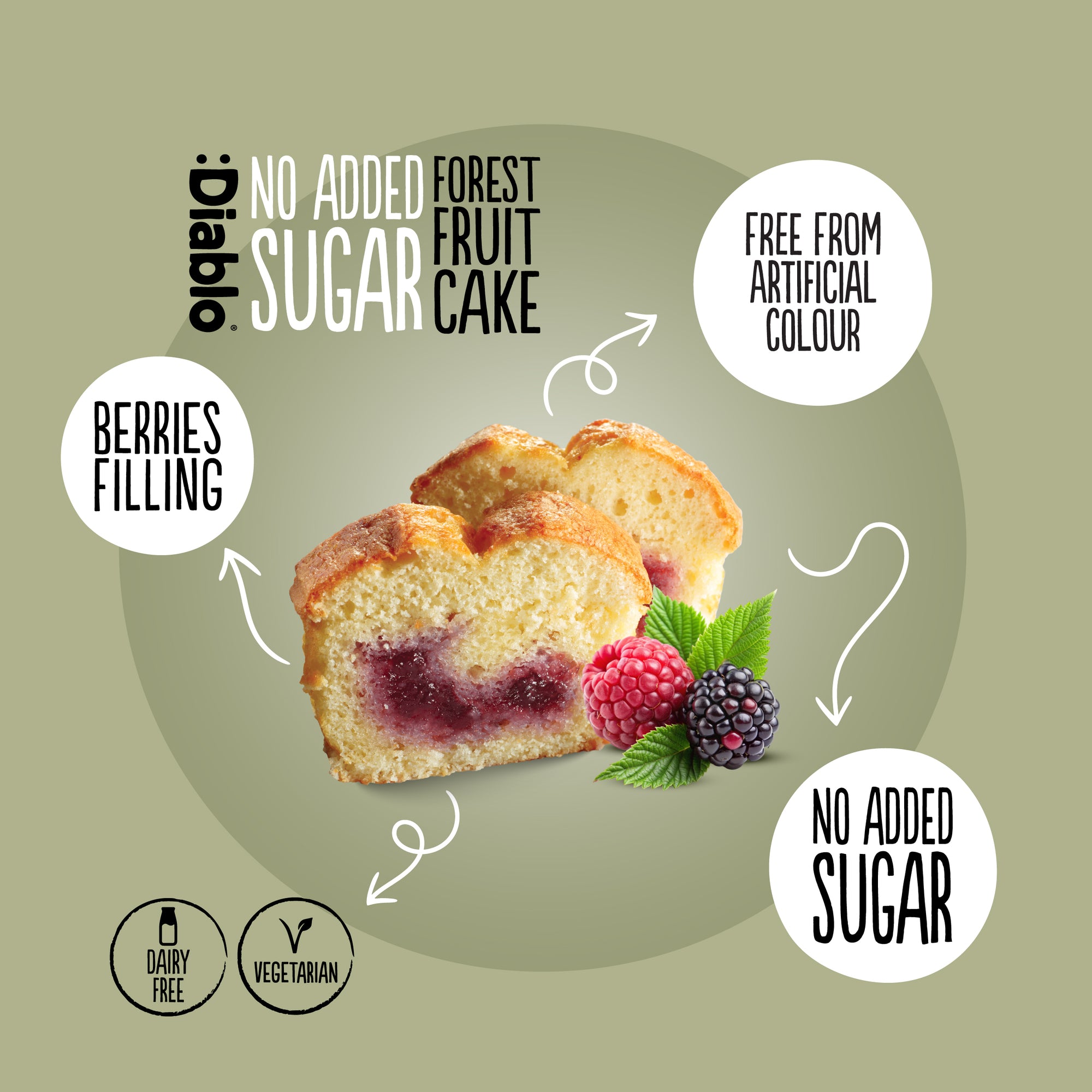 Cake aux fruits des bois (450g) sans sucre